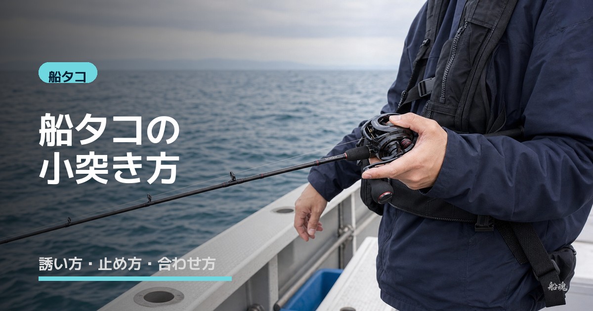 船タコの小突き方とは?誘い方・止め方・合わせ方を解説