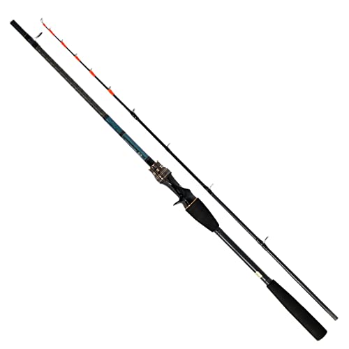 テンヤタチウオX 73-180・R