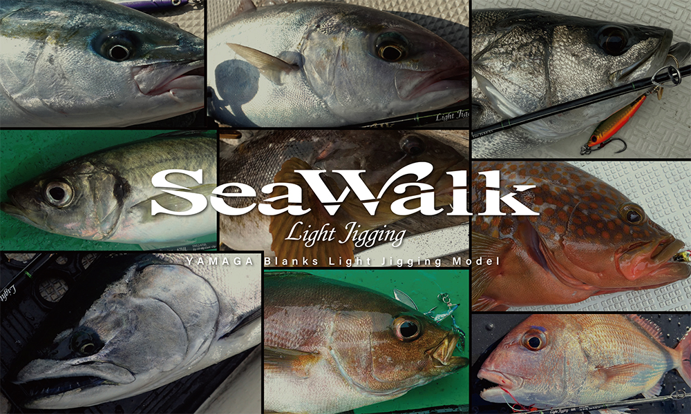 SeaWalk Light-Jigging B66ML